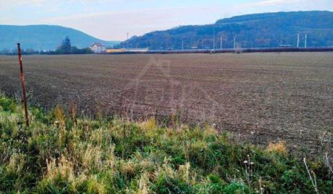 Kaufen landwirtsch. Grundstücke, landwirtsch. Grundstücke, Nové Mesto 