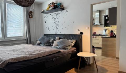 Kaufen 1-Zimmer-Wohnung, 1-Zimmer-Wohnung, Lipová, Nitra, Slowakei