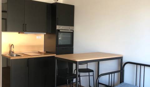 Mieten 1-Zimmer-Wohnung, 1-Zimmer-Wohnung, Fialová, Bratislava - Petrž