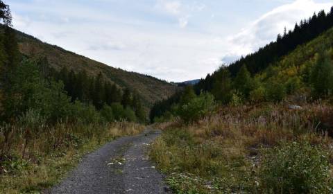 Kaufen landwirtsch. Grundstücke, landwirtsch. Grundstücke, Prievidza, 