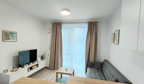 Mieten 2-Zimmer-Wohnung, 2-Zimmer-Wohnung, Račianska, Bratislava - Nov