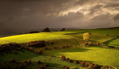 Kaufen landwirtsch. Grundstücke, landwirtsch. Grundstücke, Michalovce,