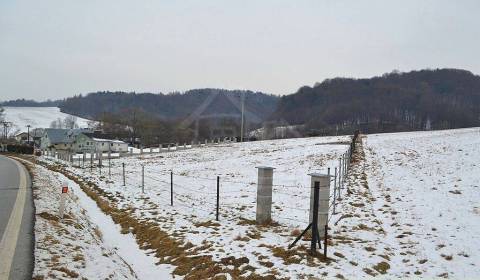 Kaufen landwirtsch. Grundstücke, landwirtsch. Grundstücke, Svidník, Sl