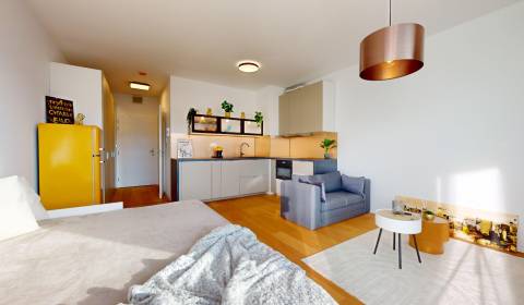 BA IV-Mieten Sie eine modern möblierte 1-Zimmer-Wohnung im Neubau 