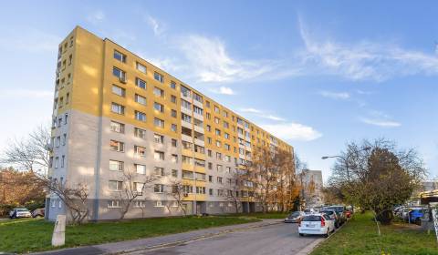 BA/PETRŽALKA-Verkauf renovierte 4-Zimmer-Wohnung mit Loggia und Keller