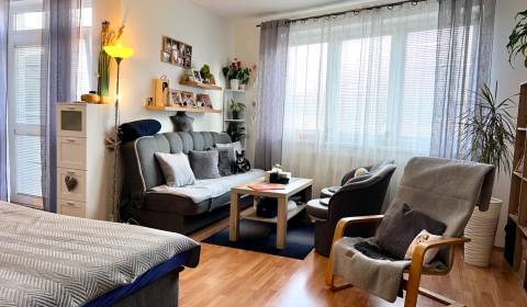 Mieten 1-Zimmer-Wohnung, 1-Zimmer-Wohnung, Agátová, Bratislava - Dúbra