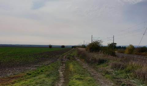 Kaufen landwirtsch. Grundstücke, landwirtsch. Grundstücke, Pezinok, Sl