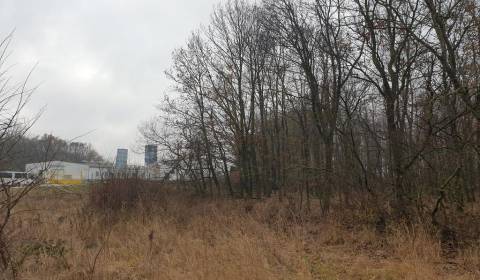 Kaufen landwirtsch. Grundstücke, landwirtsch. Grundstücke, Pezinok, Sl