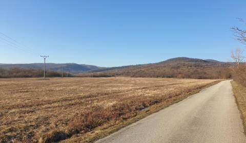 Kaufen landwirtsch. Grundstücke, landwirtsch. Grundstücke, Malacká ces