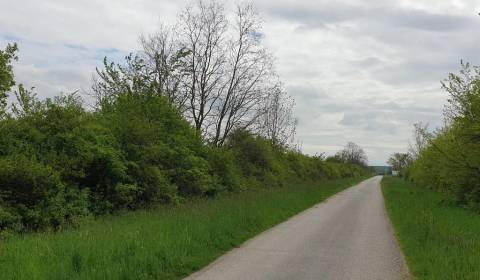 Kaufen landwirtsch. Grundstücke, landwirtsch. Grundstücke, Pezinok, Sl