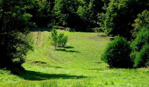 Kaufen Baugrundstück Erholung, Baugrundstück Erholung, Banská Bystrica