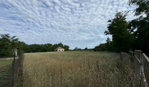 Kaufen Baugrund, Baugrund, Nitra, Slowakei