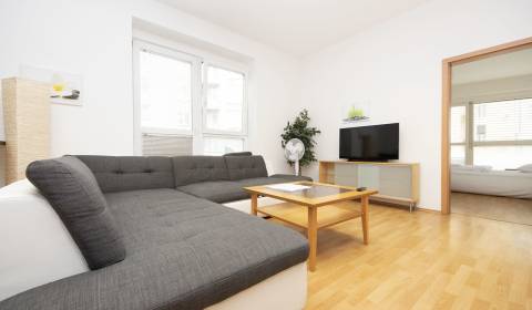 Mieten 3-Zimmer-Wohnung, Mickiewiczova, Bratislava - Staré Mesto, Slow