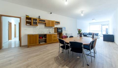 Mieten 5+ Zimmer-Wohnung, 5+ Zimmer-Wohnung, Mickiewiczova, Bratislava