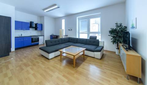 Mieten 3-Zimmer-Wohnung, 3-Zimmer-Wohnung, Mickiewiczova, Bratislava -