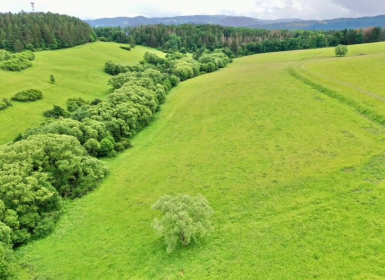 Pozemok 5320 m2 katastrálne územie Peklina