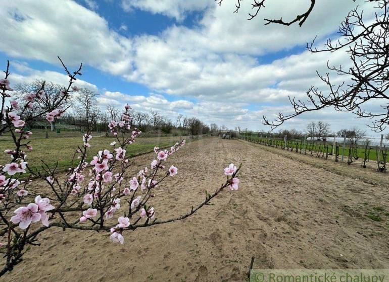 Komárno Garten Kaufen reality Komárno