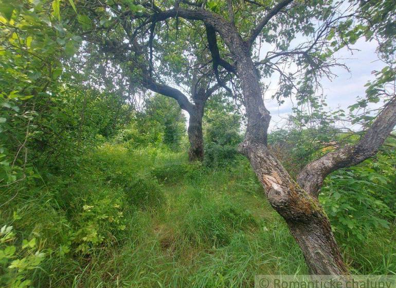 Komárno Garten Kaufen reality Komárno