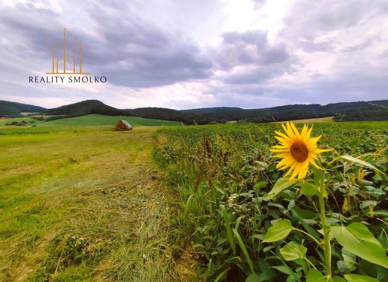 Uzovský Šalgov landwirtsch. Grundstücke Kaufen reality Sabinov