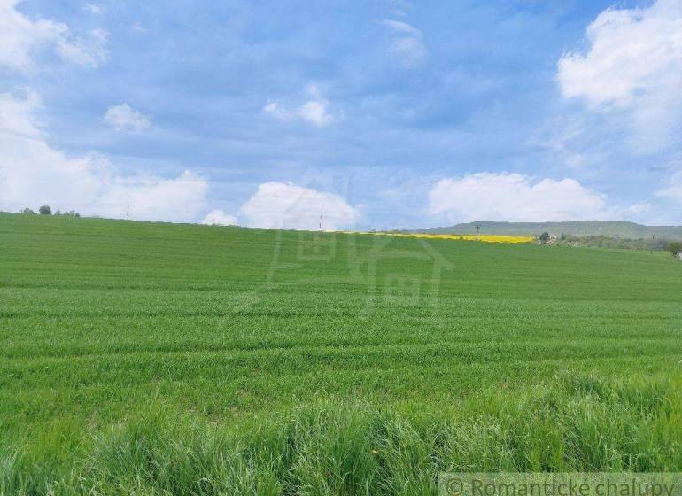 Veľký Krtíš landwirtsch. Grundstücke Kaufen reality Veľký Krtíš