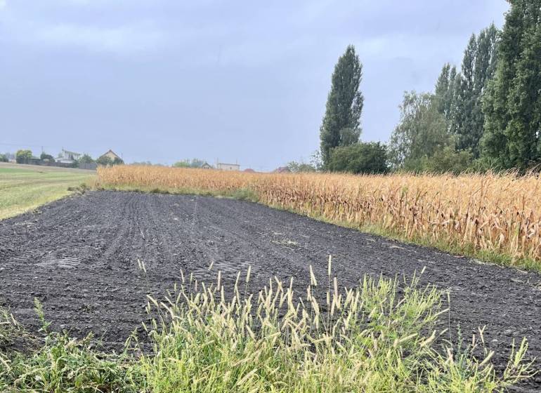 Holice Baugrund Kaufen reality Dunajská Streda