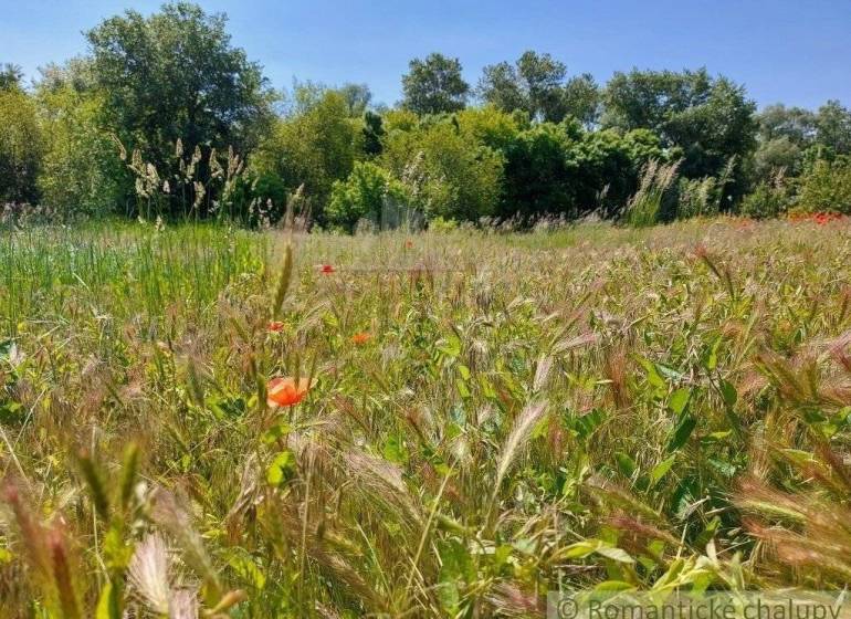 Radvaň nad Dunajom landwirtsch. Grundstücke Kaufen reality Komárno