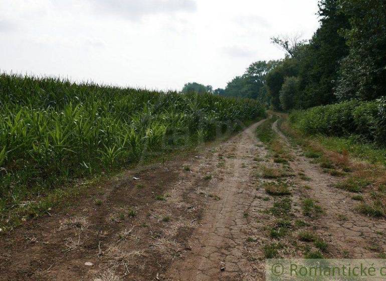 Pezinok landwirtsch. Grundstücke Kaufen reality Pezinok