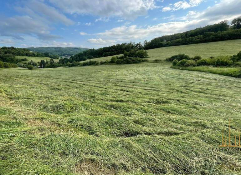 Prešov landwirtsch. Grundstücke Kaufen reality Prešov