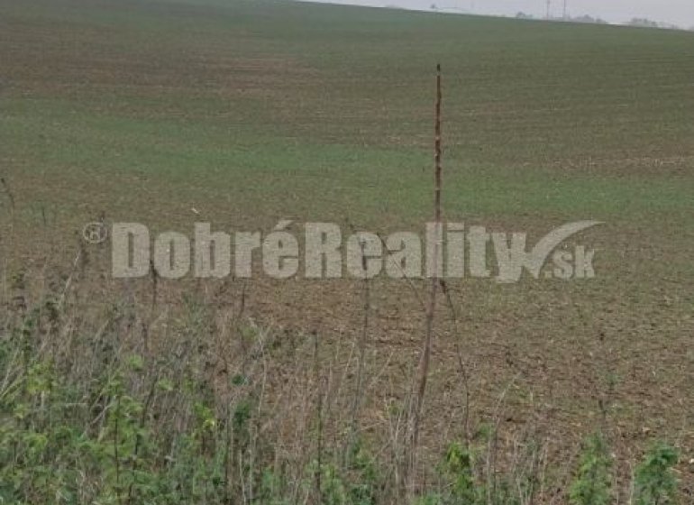 Nitra landwirtsch. Grundstücke Kaufen reality Nitra