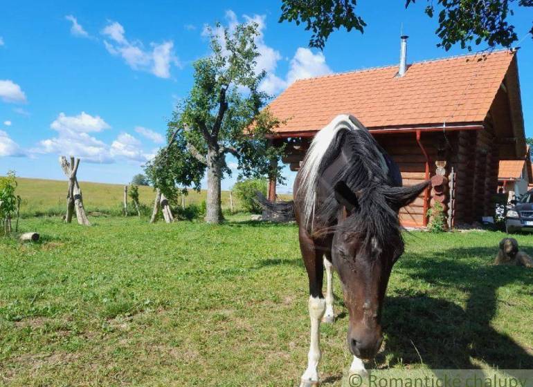 Zemiansky Vrbovok Ferienhaus Kaufen reality Krupina