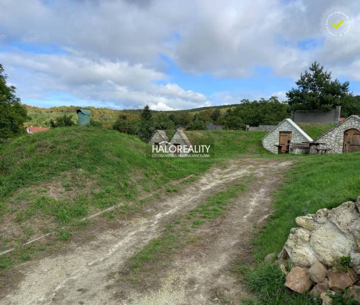 Veľká Tŕňa Garten Kaufen reality Trebišov