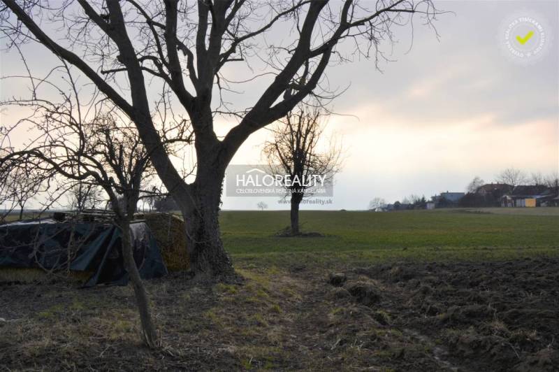 Radošina Einfamilienhaus Kaufen reality Topoľčany