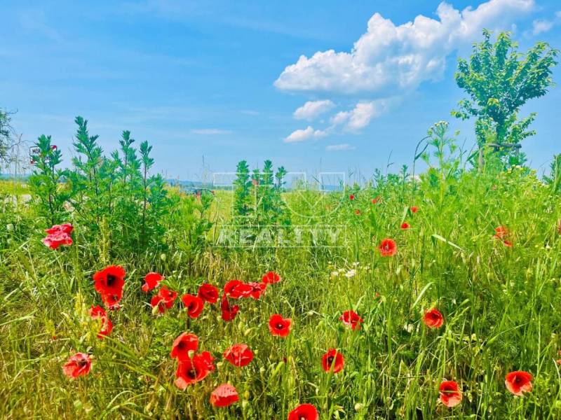 Moravany nad Váhom Baugrund Kaufen reality Piešťany