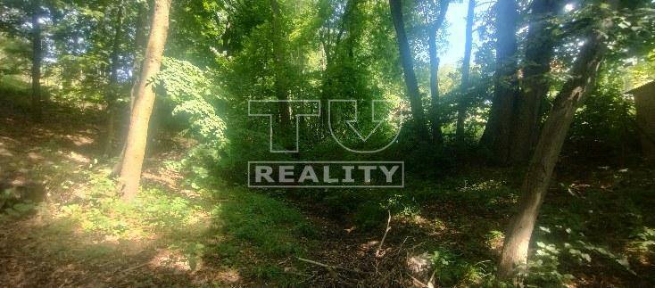 Stará Turá Baugrundstück Erholung Kaufen reality Nové Mesto nad Váhom