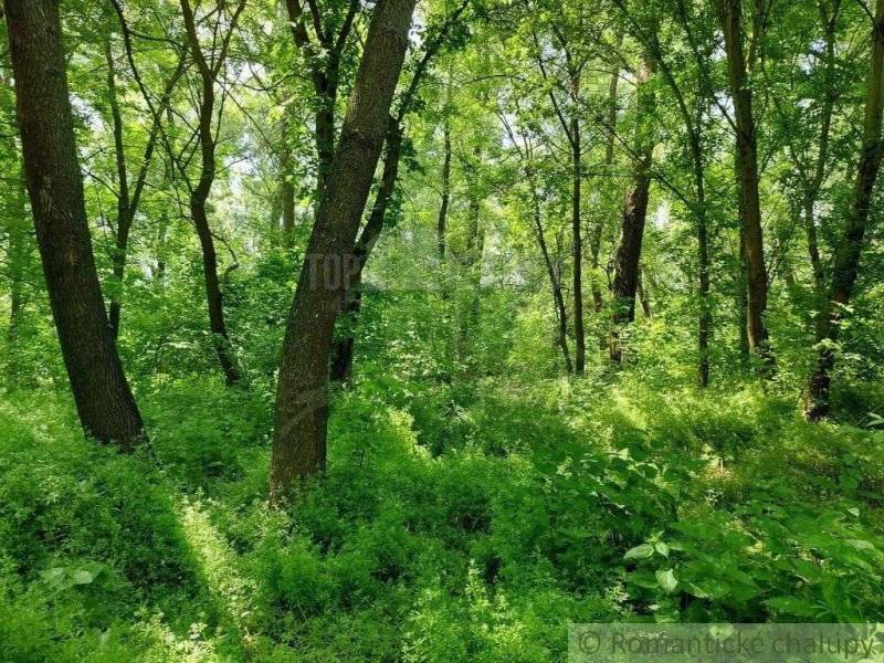 Radvaň nad Dunajom landwirtsch. Grundstücke Kaufen reality Komárno