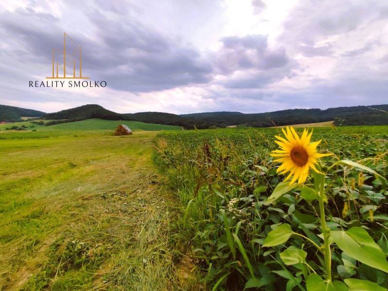 Uzovský Šalgov landwirtsch. Grundstücke Kaufen reality Sabinov