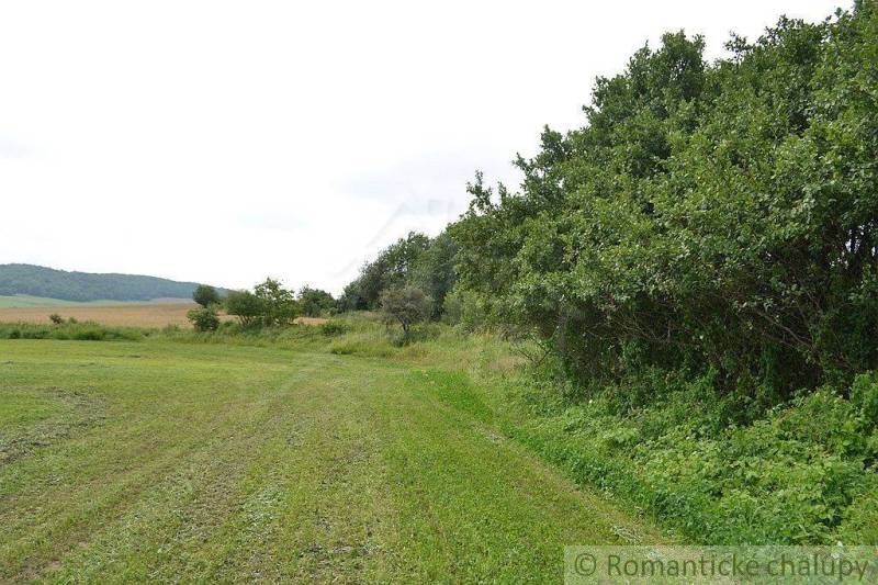 Bardejov landwirtsch. Grundstücke Kaufen reality Bardejov