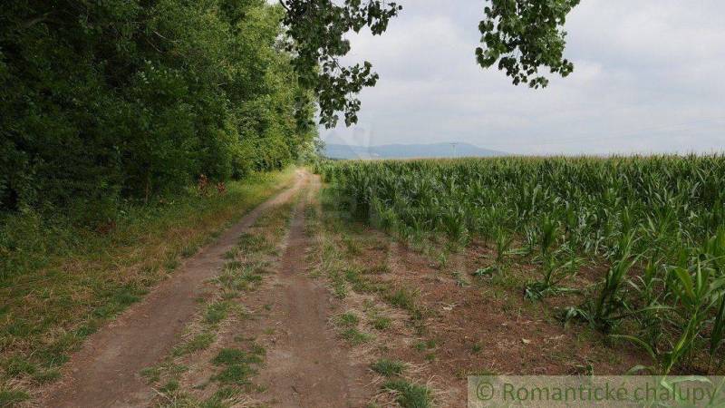 Pezinok landwirtsch. Grundstücke Kaufen reality Pezinok