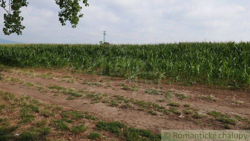 Pezinok landwirtsch. Grundstücke Kaufen reality Pezinok