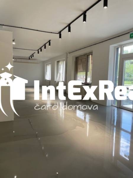 Prenájom, podnikateľský priestor na rôzne účely, centrum, Galanta, viac na: https://reality.intexreal.sk/