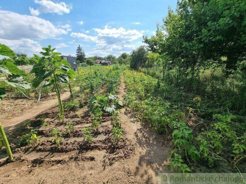 Hlohovec Einfamilienhaus Kaufen reality Hlohovec