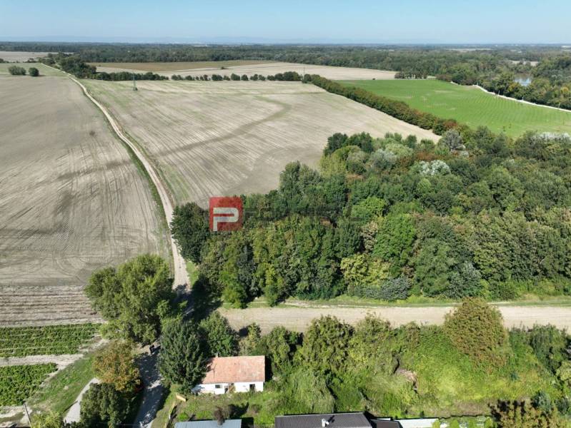 Potônske Lúky Einfamilienhaus Kaufen reality Dunajská Streda