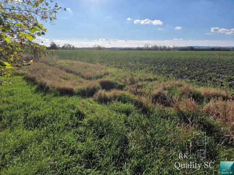 Senec Baugrund Kaufen reality Senec