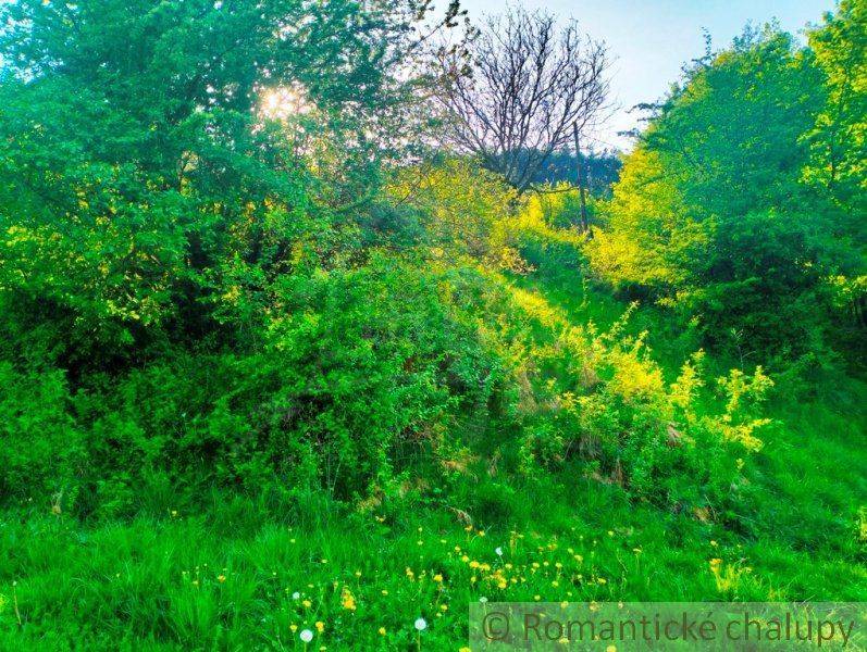 Trenčianska Teplá Garten Kaufen reality Trenčín