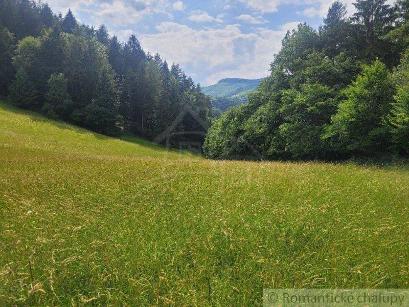 Záriečie landwirtsch. Grundstücke Kaufen reality Púchov