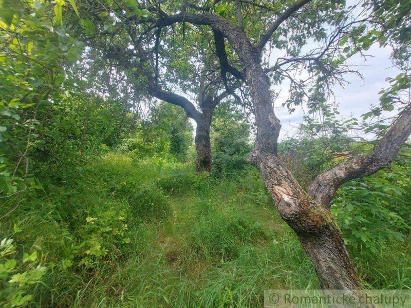 Komárno Garten Kaufen reality Komárno