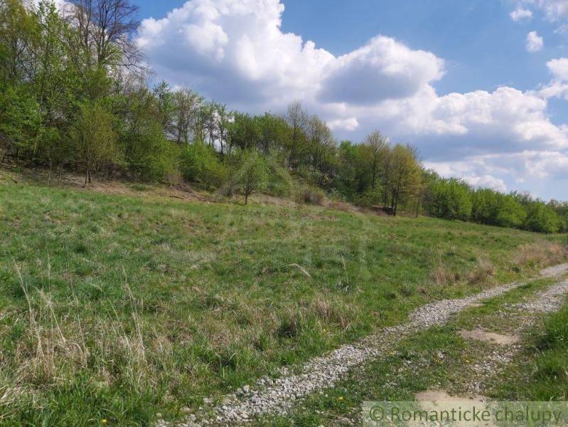 Dolné Kočkovce landwirtsch. Grundstücke Kaufen reality Púchov