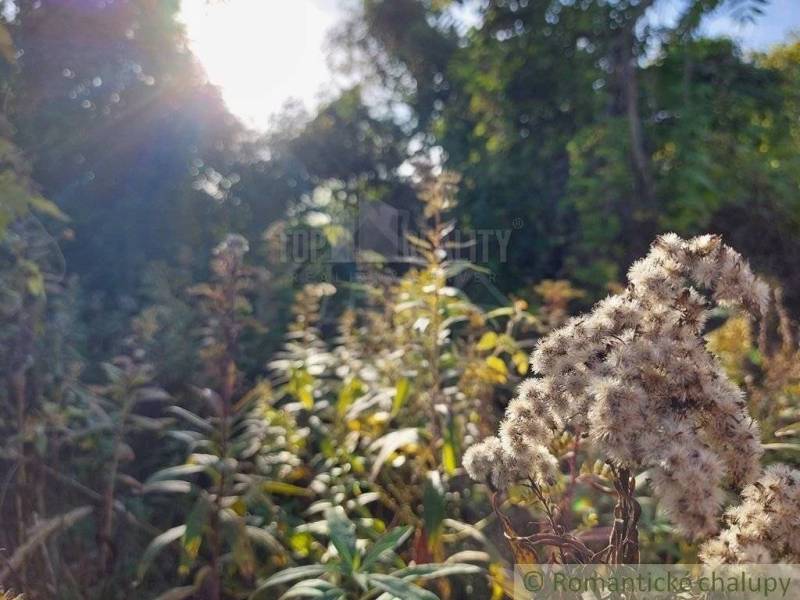 Komárno Garten Kaufen reality Komárno