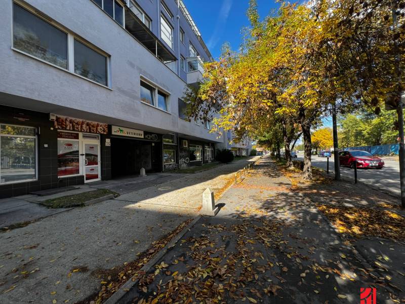 Mieten 1-Zimmer-Wohnung, 1-Zimmer-Wohnung, Tomášikova, Bratislava - Ru