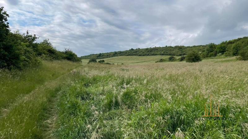 Prešov landwirtsch. Grundstücke Kaufen reality Prešov